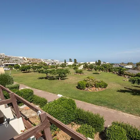 Geisha Port Nature Coursive *