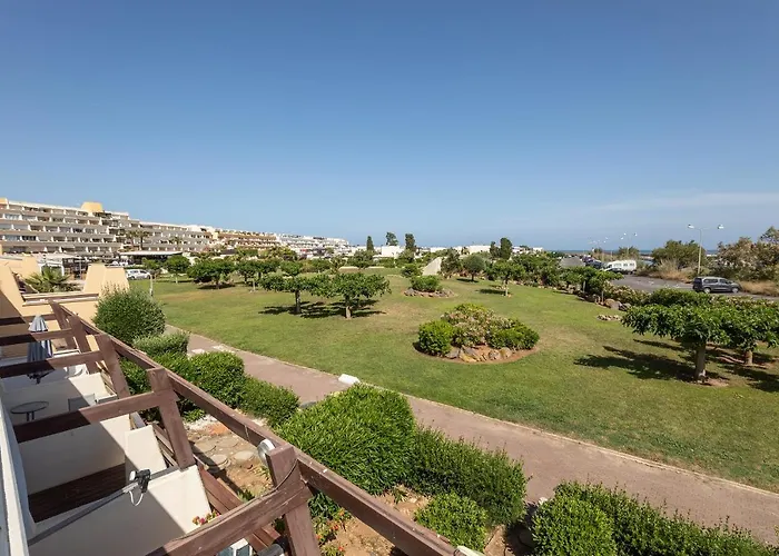 Geisha Port Nature Coursive *